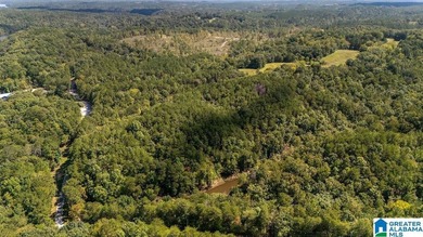 Wooded land, close to Grand Point on Lay - photo 15