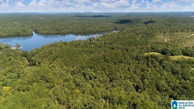 Wooded land, close to Grand Point on Lay - photo 16