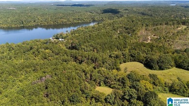 Wooded land, close to Grand Point on Lay - photo 17