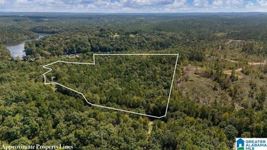 Wooded land, close to Grand Point on Lay - photo 19