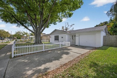 Lake Tarpon Home Sale Pending in Palm Harbor Florida