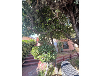 Classic Fixer with Endless Potential in Fruitvale! This home - photo 5