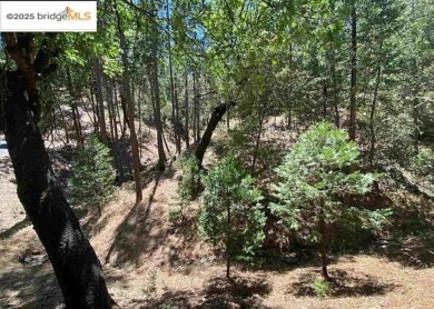 Nestled in the pines and cedars on a quiet cul-de-sac, this - Lake Lot For Sale in Groveland, California
