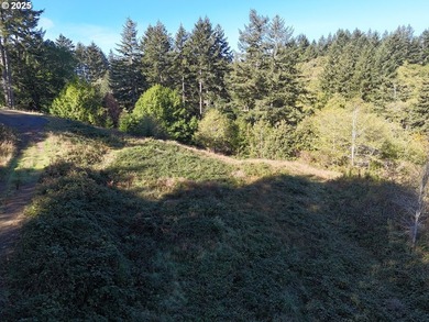 Build your dream home on this beautiful 1.83-acre parcel located - photo 11
