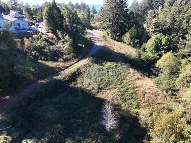 Build your dream home on this beautiful 1.83-acre parcel located - photo 17