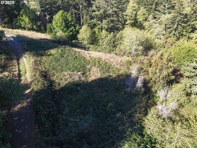 Build your dream home on this beautiful 1.83-acre parcel located - photo 18