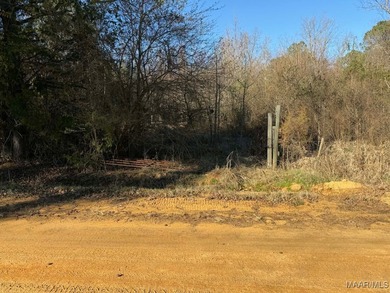 (private lake, pond, coastal) Acreage Active Under Contract in Ramer Alabama