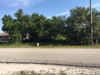 Lehigh Acres Area Lot For Sale in Lehigh Acres Florida