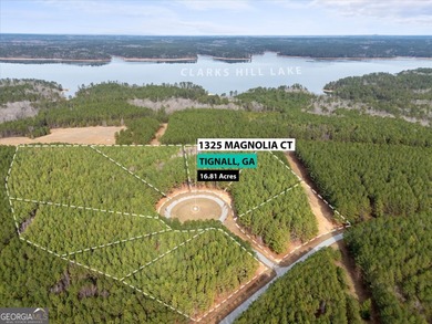 Strom Thurmond / Clarks Hill Lake Acreage For Sale in Tignall Georgia