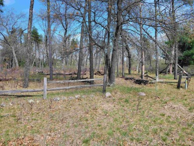 Lake Lot For Sale in Nekoosa, Wisconsin