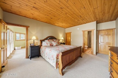 Stunning log home on the main channel of Douglas Lake! This - photo 49