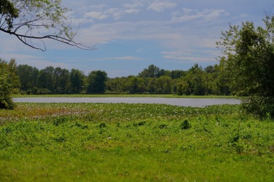 PREMIER TUSCALOOSA COUNTY HUNTING & RECREATIONAL PARADISE - photo 11