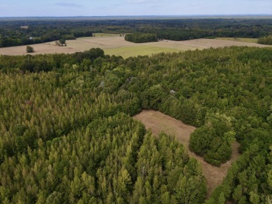 PREMIER TUSCALOOSA COUNTY HUNTING & RECREATIONAL PARADISE - photo 12