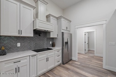 All BRICK NEW construction in the heart of Tellico Village - photo 14