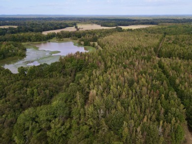 PREMIER TUSCALOOSA COUNTY HUNTING & RECREATIONAL PARADISE - photo 14
