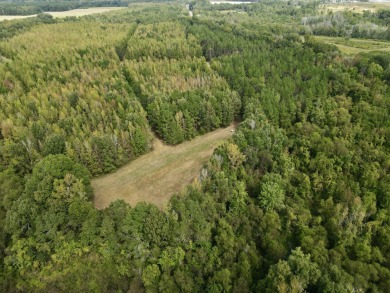 PREMIER TUSCALOOSA COUNTY HUNTING & RECREATIONAL PARADISE - photo 15