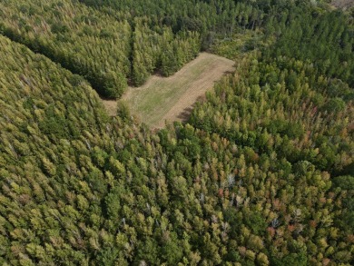 PREMIER TUSCALOOSA COUNTY HUNTING & RECREATIONAL PARADISE - photo 16