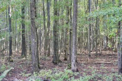 PREMIER TUSCALOOSA COUNTY HUNTING & RECREATIONAL PARADISE - photo 17