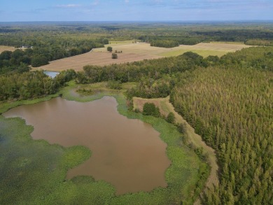 PREMIER TUSCALOOSA COUNTY HUNTING & RECREATIONAL PARADISE - photo 18