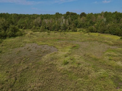 PREMIER TUSCALOOSA COUNTY HUNTING & RECREATIONAL PARADISE - photo 19