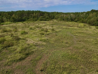 PREMIER TUSCALOOSA COUNTY HUNTING & RECREATIONAL PARADISE - photo 20