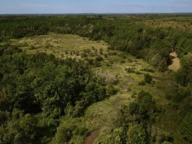 PREMIER TUSCALOOSA COUNTY HUNTING & RECREATIONAL PARADISE - photo 21
