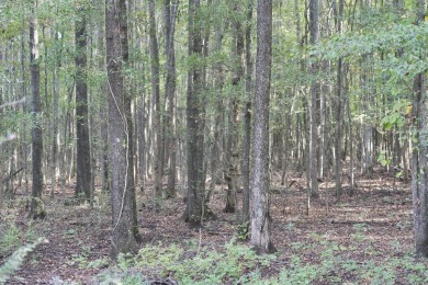 PREMIER TUSCALOOSA COUNTY HUNTING & RECREATIONAL PARADISE - photo 22