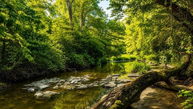 A rare opportunity to own an exceptional 247-acre legacy farm - photo 22