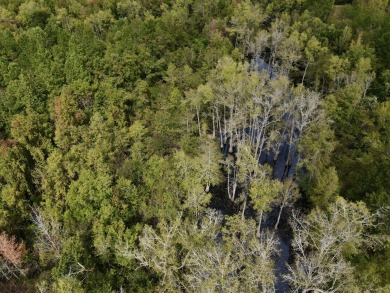 PREMIER TUSCALOOSA COUNTY HUNTING & RECREATIONAL PARADISE - photo 23
