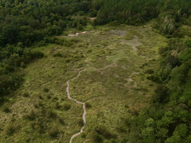 PREMIER TUSCALOOSA COUNTY HUNTING & RECREATIONAL PARADISE - photo 24