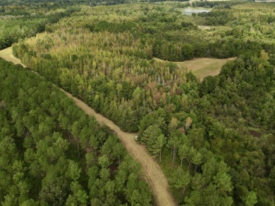PREMIER TUSCALOOSA COUNTY HUNTING & RECREATIONAL PARADISE - photo 25