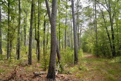 PREMIER TUSCALOOSA COUNTY HUNTING & RECREATIONAL PARADISE - photo 26