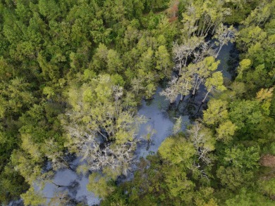 PREMIER TUSCALOOSA COUNTY HUNTING & RECREATIONAL PARADISE - photo 27