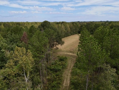 PREMIER TUSCALOOSA COUNTY HUNTING & RECREATIONAL PARADISE - photo 28
