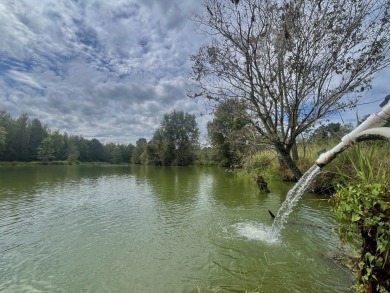 PREMIER TUSCALOOSA COUNTY HUNTING & RECREATIONAL PARADISE - photo 29