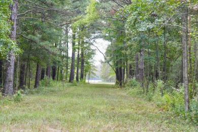 PREMIER TUSCALOOSA COUNTY HUNTING & RECREATIONAL PARADISE - photo 32