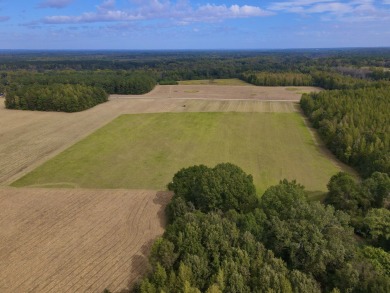 PREMIER TUSCALOOSA COUNTY HUNTING & RECREATIONAL PARADISE - photo 33