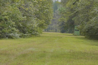 PREMIER TUSCALOOSA COUNTY HUNTING & RECREATIONAL PARADISE - photo 35