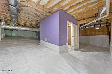 All BRICK NEW construction in the heart of Tellico Village - photo 39