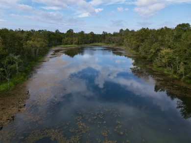 PREMIER TUSCALOOSA COUNTY HUNTING & RECREATIONAL PARADISE - photo 41