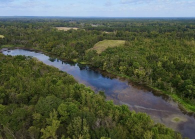 PREMIER TUSCALOOSA COUNTY HUNTING & RECREATIONAL PARADISE - photo 42