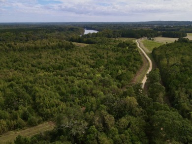 PREMIER TUSCALOOSA COUNTY HUNTING & RECREATIONAL PARADISE - photo 43