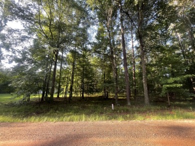 Lake Lot For Sale in Pachuta, Mississippi
