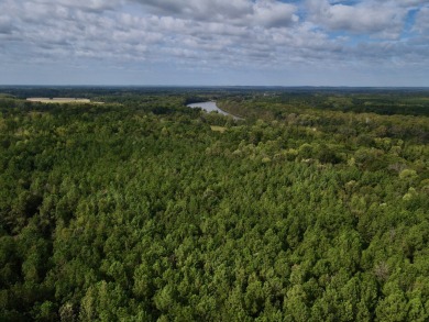 PREMIER TUSCALOOSA COUNTY HUNTING & RECREATIONAL PARADISE - photo 47