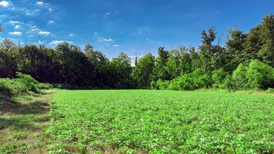 A rare opportunity to own an exceptional 247-acre legacy farm - photo 50