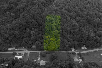 Nolichucky River Lot For Sale in Erwin Tennessee