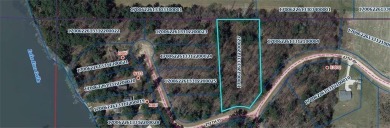 Lake Acreage For Sale in Eau Galle Twp, Wisconsin