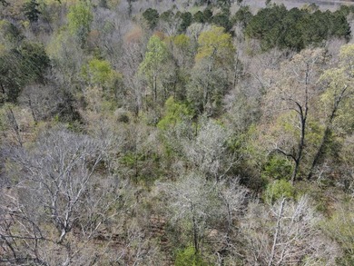 WELCOME TO THE SIMPSON 56-A PINOLA PRIVACY TRACT! This 56+/- - photo 12