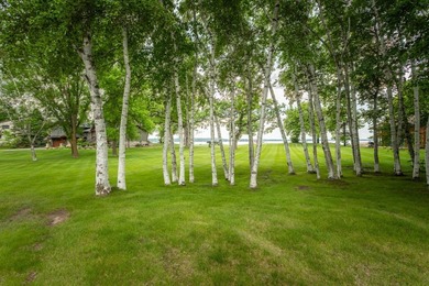 Welcome to your dream Lake Ida home, where breathtaking views - photo 12