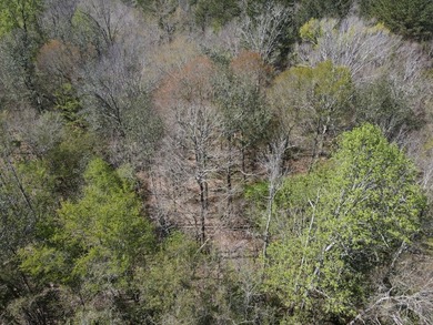 WELCOME TO THE SIMPSON 56-A PINOLA PRIVACY TRACT! This 56+/- - photo 13